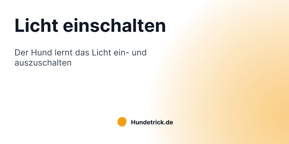 Wann Müssen Sie Abend Licht Einschalten Licht einschalten | Hundetrick.de